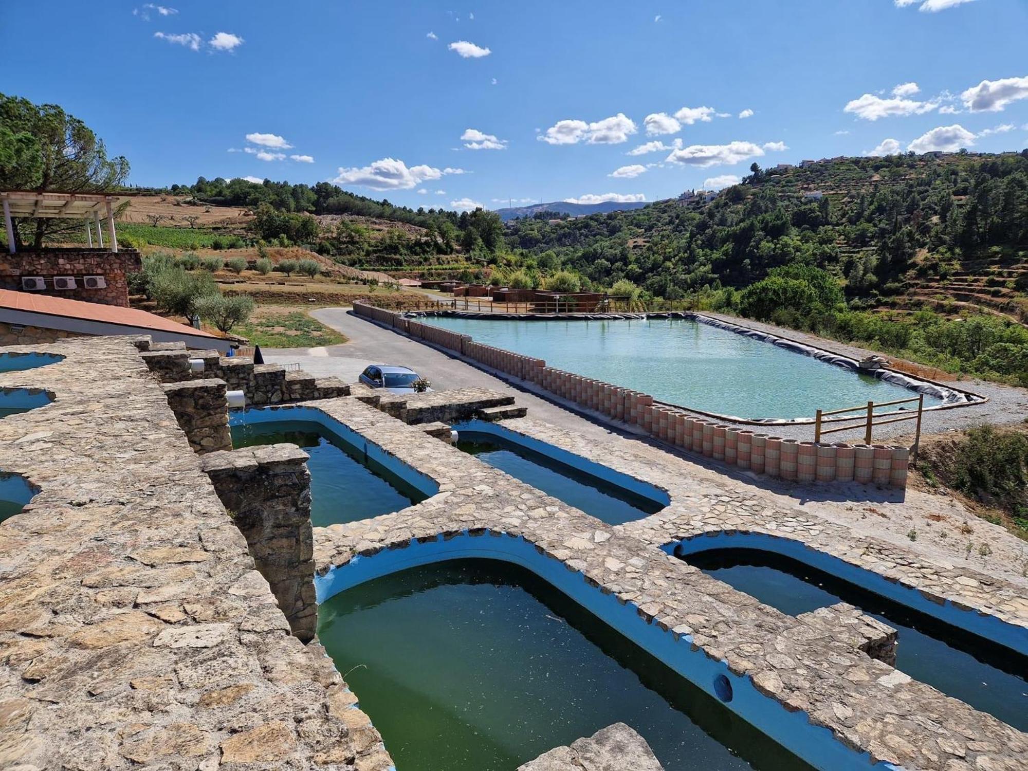 Douro Cister Hotel Resort Ucanha Екстериор снимка
