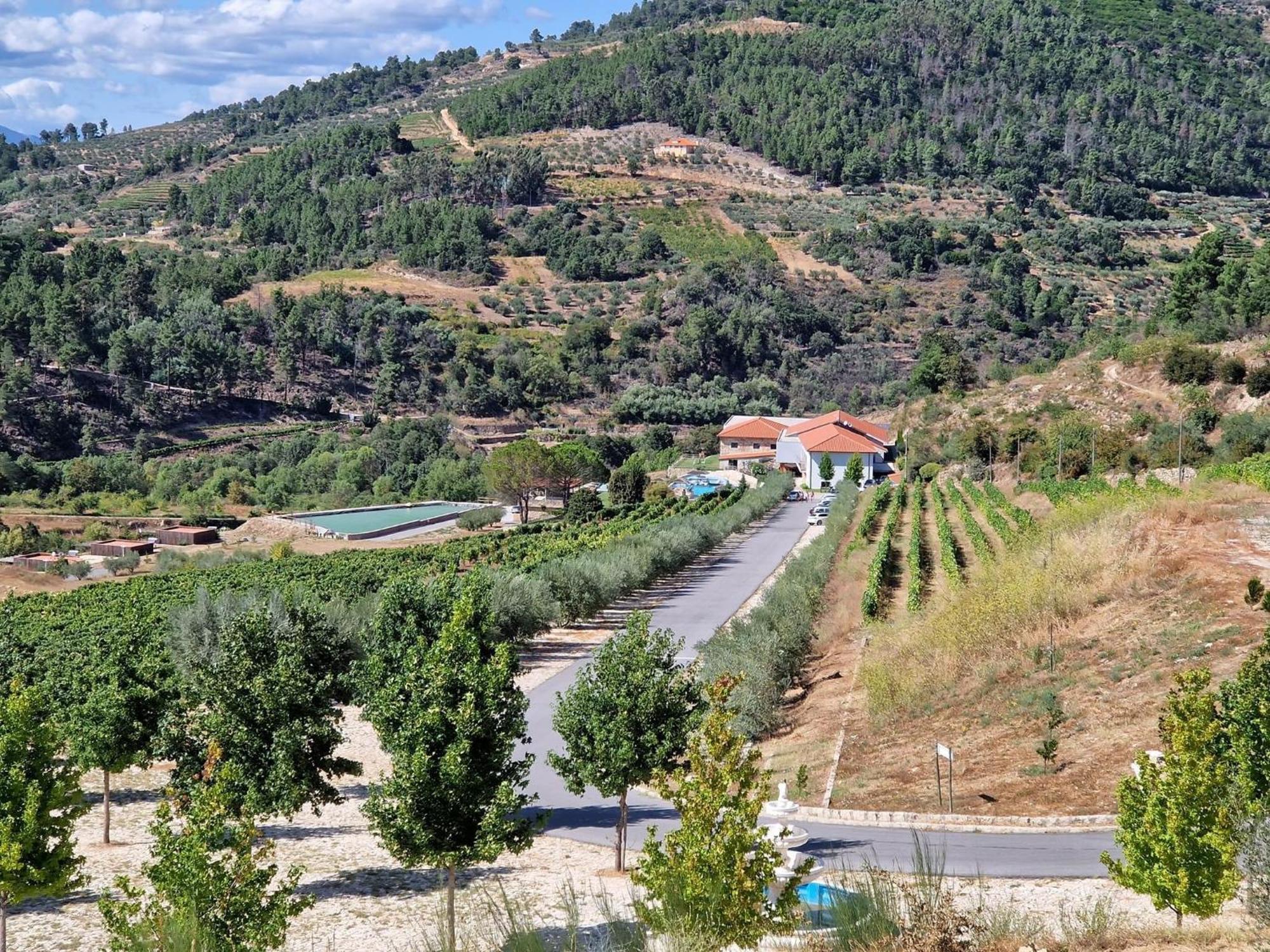 Douro Cister Hotel Resort Ucanha Екстериор снимка